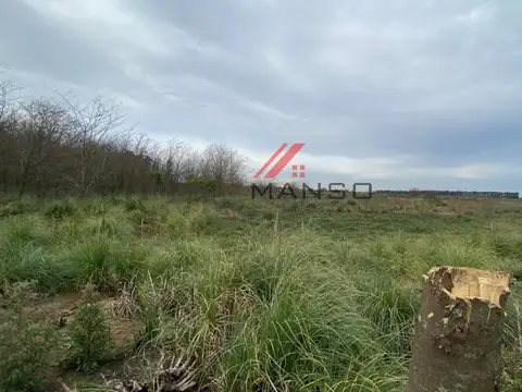 21 Ha. Campo en  Marcos Paz cercano a 20 de Junio