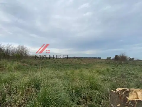 Campo de 21 Ha. La banderita  s/n