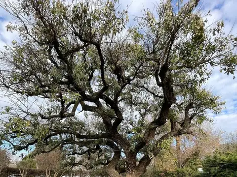 Casa en  venta en Funes