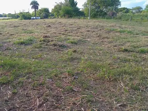 LOTES EN VENTA EN YATAY TI CALLE CORRIENTES