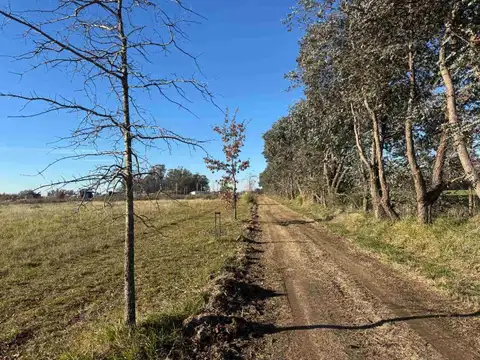 Terreno en Venta de 2006,0 m2
