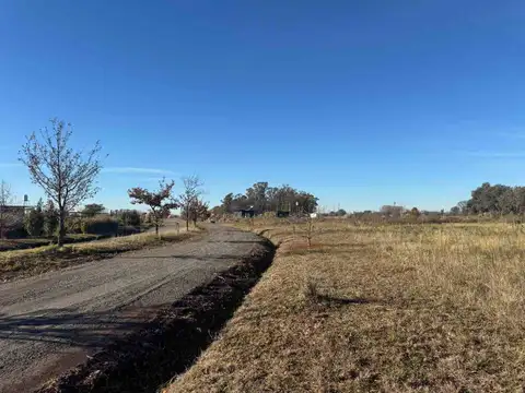 Venta Lote Eucaliptos 2005 m2 Laguna de las Pampas