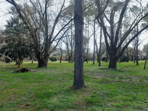 Terreno en Venta 11  mts Frente