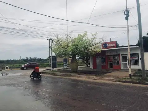 Calle 317 Patricias Mendocinas 700