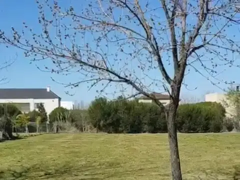 Terreno en Venta 23  mts Frente