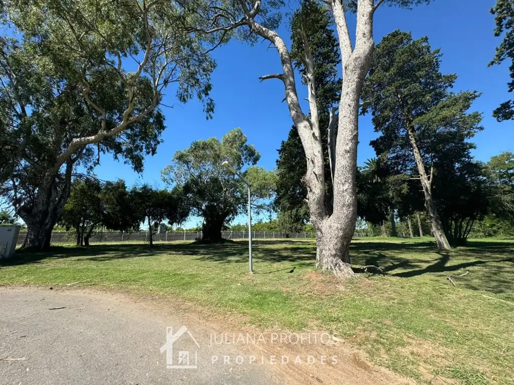 Terreno - 1.300  m² Total