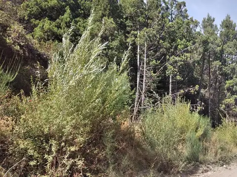 Chacra en Mallin Ahogado