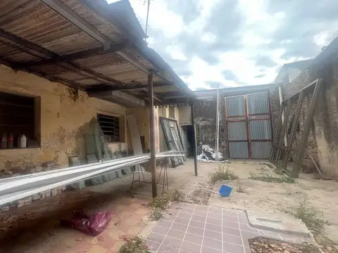 Gaboto 100