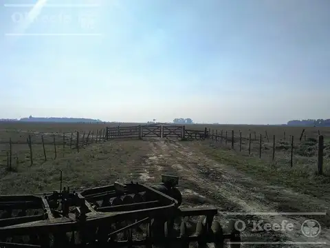Campo Ganadero de 165 Has - Sobre Ruta - Ranchos