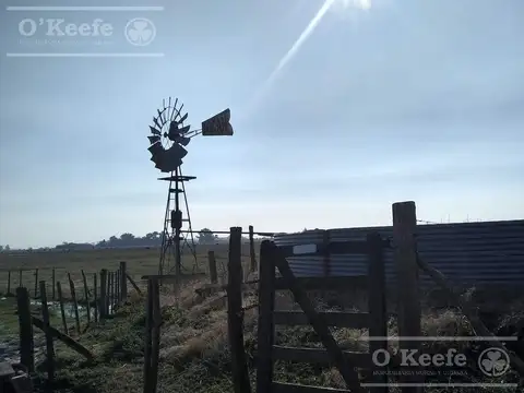 Campo Ganadero de 165 Has - Sobre Ruta - Ranchos