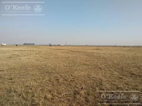 Campo Ganadero de 165 Has - Sobre Ruta - Ranchos