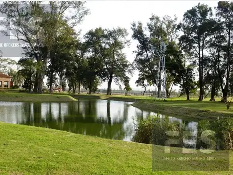 Terreno en Venta en San Lucas, USD 68.000