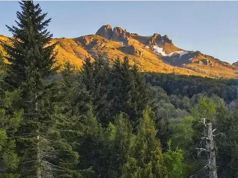 Ruta Provincial 65