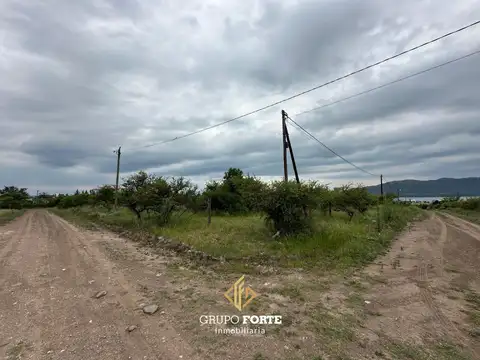 Lote Potre De Garay 