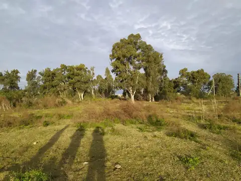 Terreno en Venta de 15716,0 m2