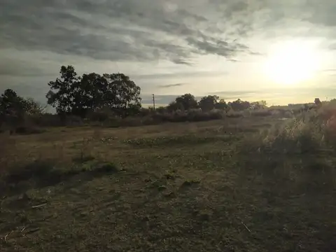 Macrolote J.M. Loreto 15.716