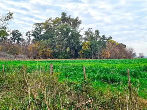 Campo mixto en cercanías de Tomas Jofré