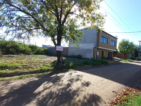 OLIVOS (Bº REVIDATTI) 4600
