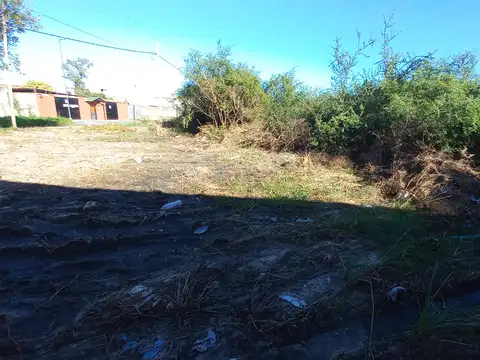 OLIVOS (Bº REVIDATTI) 4600