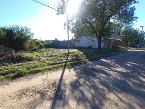 OLIVOS (Bº REVIDATTI) 4600