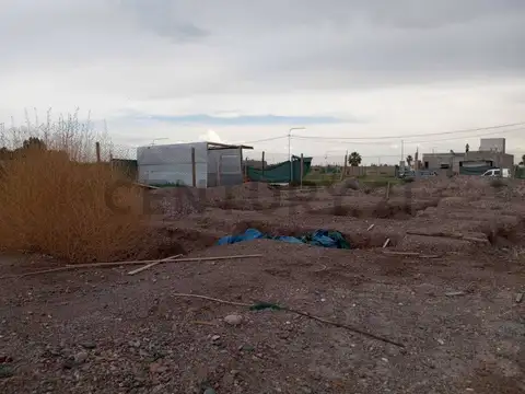 profesor mathus , Piso 0