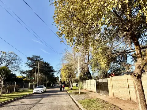 Moreno 1300