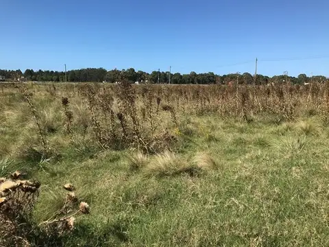 Terreno en Venta en Necochea, USD 18.000