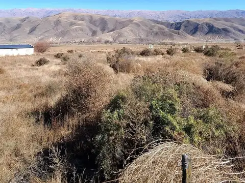 ruta 307