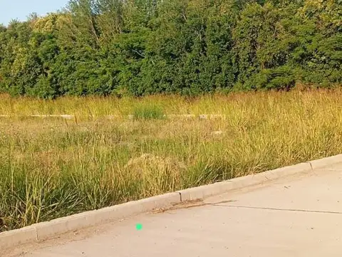 Terreno en Venta 25  mts Fondo