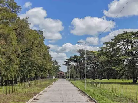 Calle Recarte - La Isolina