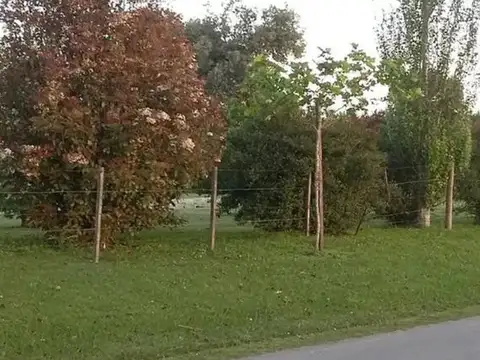 Terreno en Venta de 381,0 m2