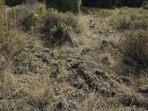 Terreno en Venta en San Martin De Los Andes, USD 115.000