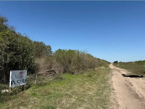 Venta hermosa chacra 140x370  zona autodromo 5 has