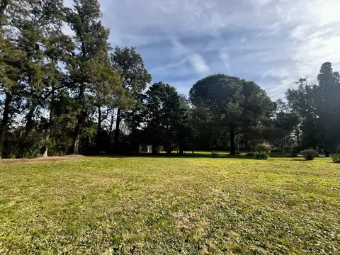 VENTA QUINTA 8066M2 EL PAT0 ARBOLEDA HISTÓRICA