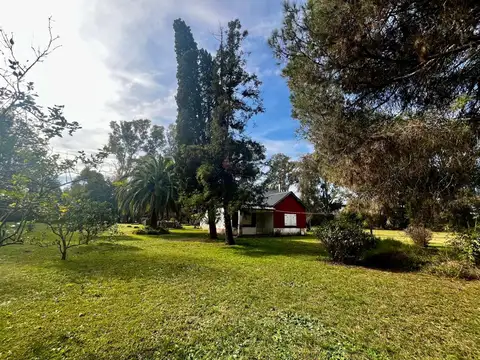 VENTA QUINTA 8066M2 EL PAT0 ARBOLEDA HISTÓRICA 