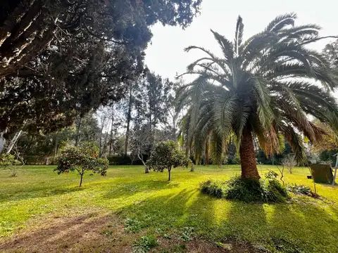 VENTA QUINTA 8066M2 EL PAT0 ARBOLEDA HISTÓRICA