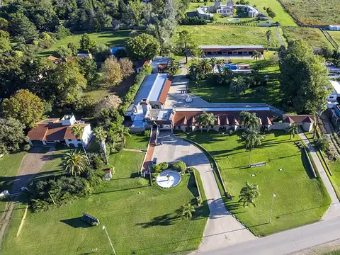 Venta de Negocio, Salto