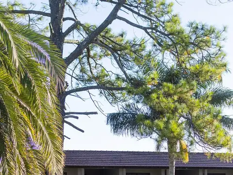 Venta de Negocio, Salto