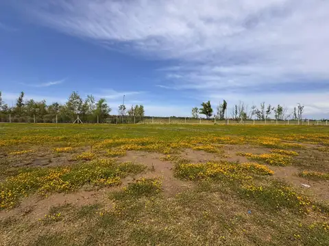 Terreno en Venta en Puertos - Barrio Nativas, USD 88.000