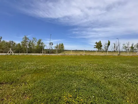 Terreno en Nativas