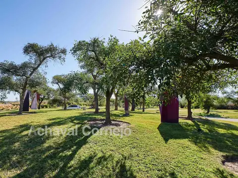 Terreno en Nativas