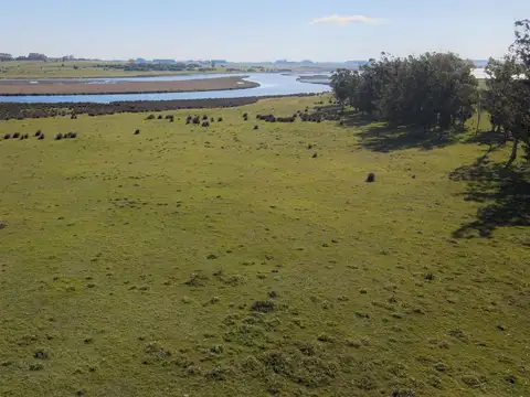 Quinta en Venta en José Ignacio, USD 4.800.000