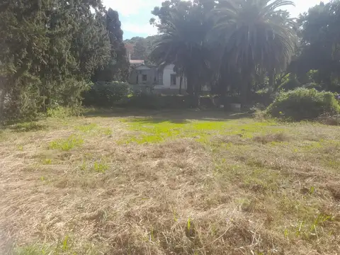 Av San Martin 2800