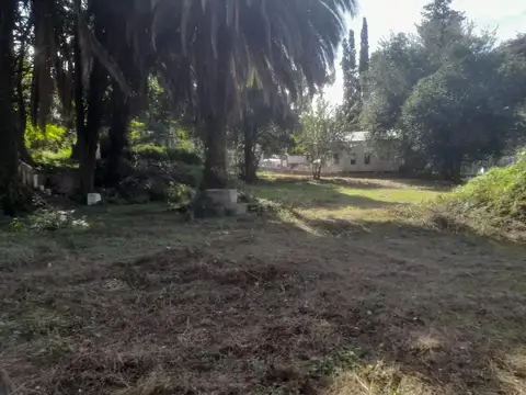 Av San Martin 2800