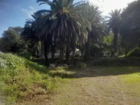 Terreno en Venta en Ñu Pora, USD 150.000