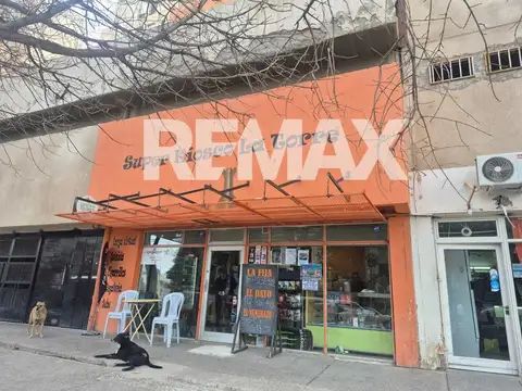 General Roca 100