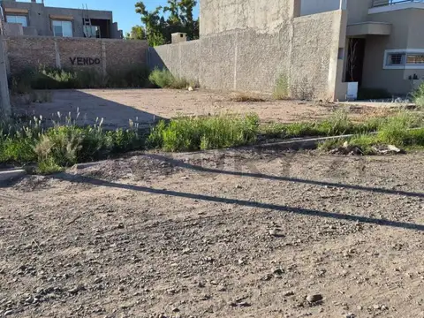 PEDRO PASCUAL SEGURA 1400