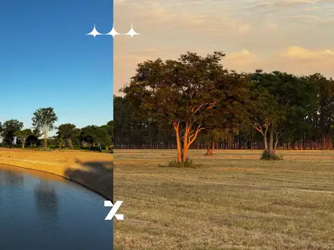 Terreno en Venta en Colonia Benitez, USD 20.000