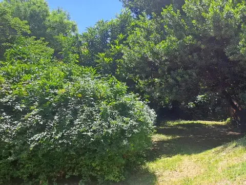 Terreno en Venta de 531,0 m2