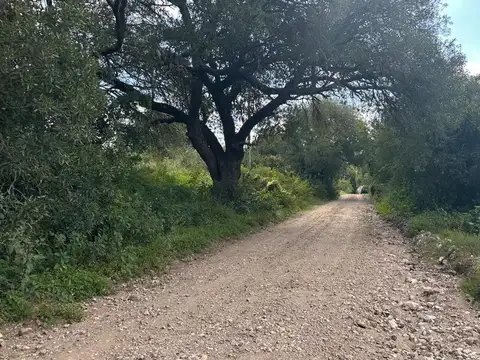 Terreno en Venta de 800,0 m2